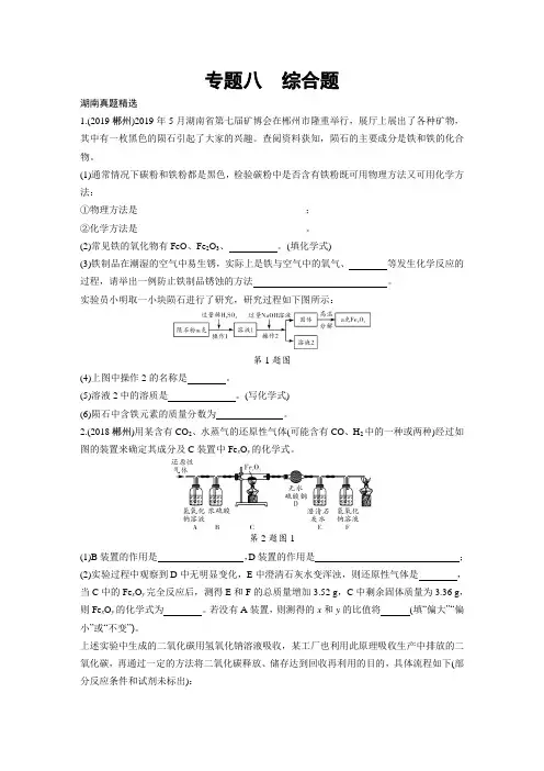 2020年湖南中考化学复习专题八 综合题
