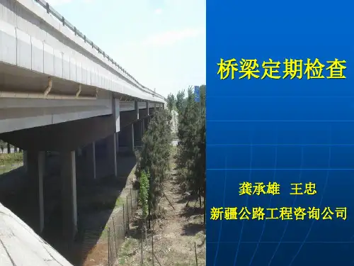桥梁定期检查