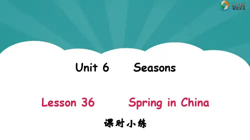冀教版英语七年级下册_Unit6_Lesson36_课时小练