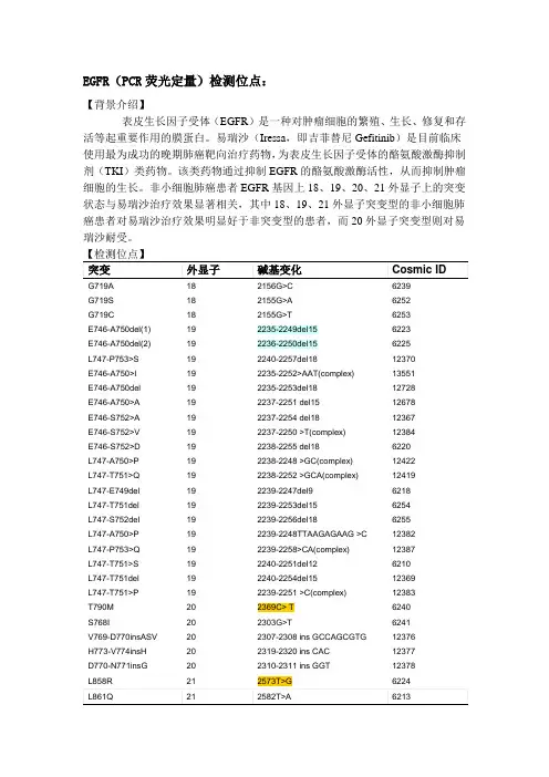 EGFR检测位点