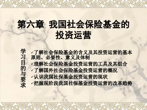 社会保障基金6-投资运营