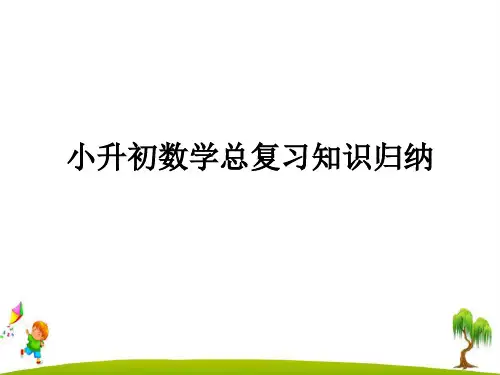 最新六年级小升初数学总复习资料归纳