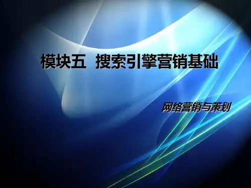 模块五 搜索引擎营销基础