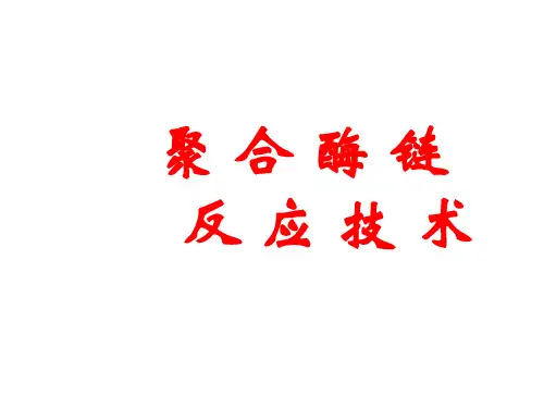 聚合酶链反应