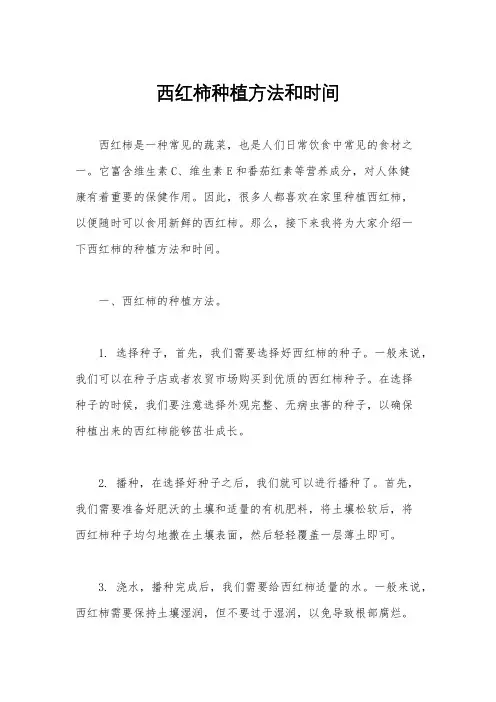 西红柿种植方法和时间