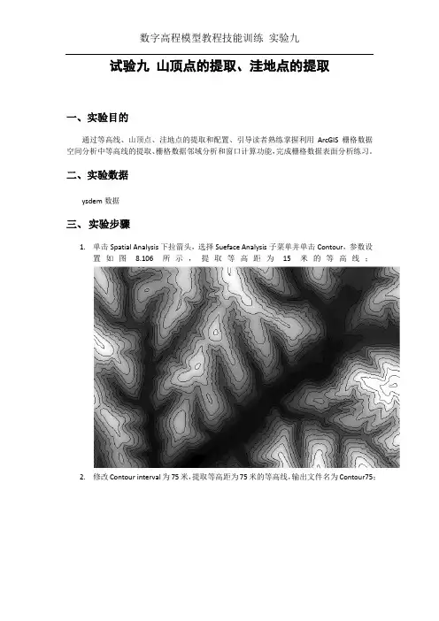 山顶点的提取、洼地点的提取 arcgis9.3  DEM