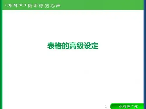 OFFICE高级运用技巧
