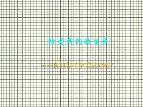 珍爱我们的生命课件3