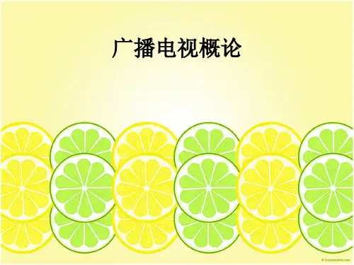 复习 广播电视概论