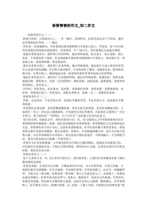 珍惜青春的作文_初二作文.doc