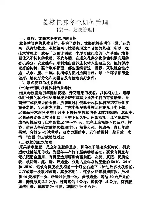 荔枝桂味冬至如何管理