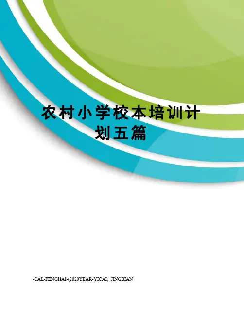 农村小学校本培训计划五篇