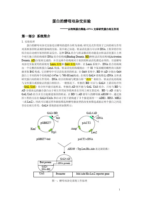 酵母双杂实验原理及技术