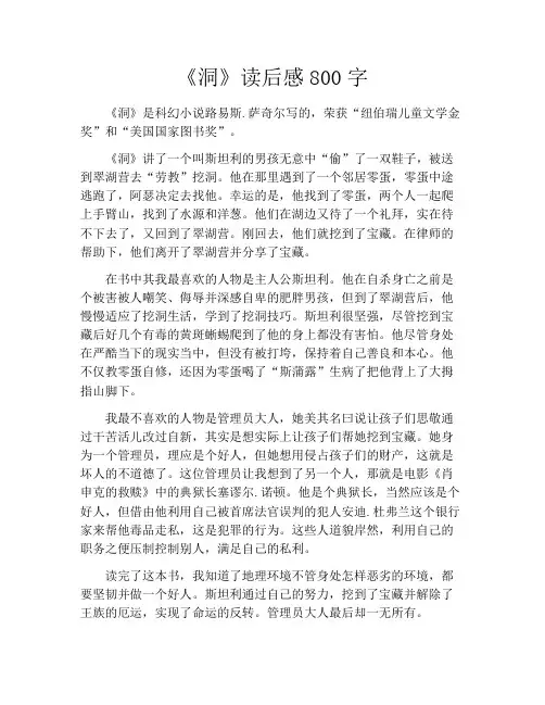 《洞》读后感800字