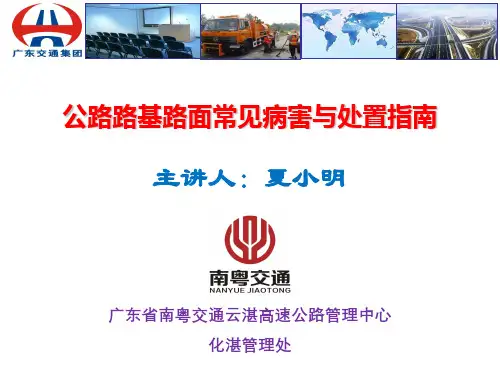 公路路基路面常见病害与处置指南