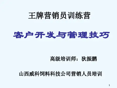 客户开发与管理技巧