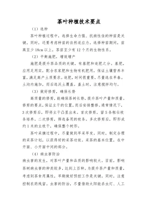 茶叶种植技术要点