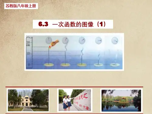 苏科版数学八年级上册一次函数的图象PPT精品课件