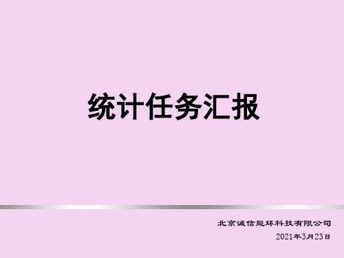 《统计工作汇报》PPT课件