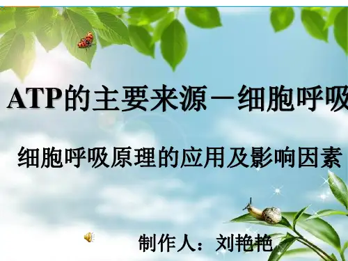 影响呼吸作用的因素