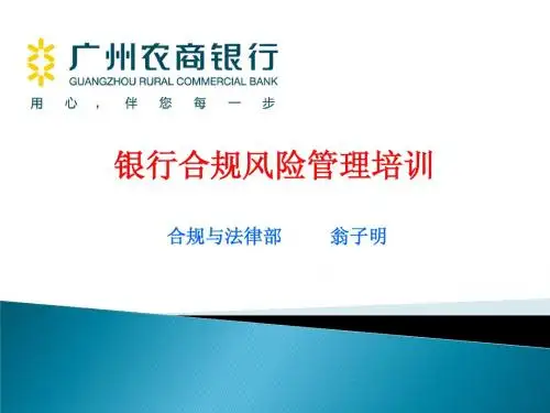 合规风险管理