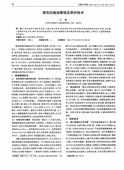 菊花的栽培管理及养护技术
