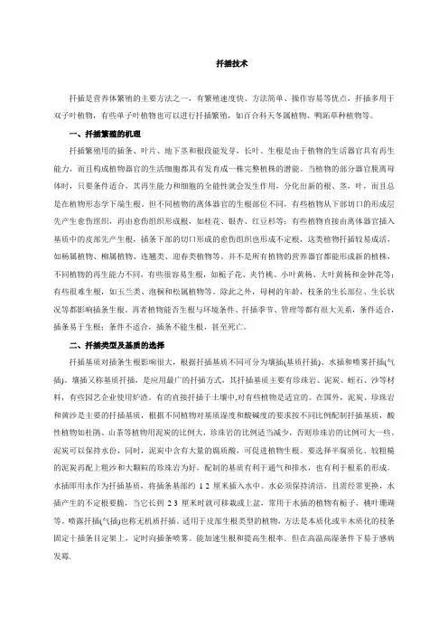 扦插繁殖技术