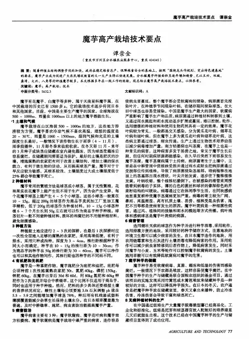 魔芋高产栽培技术要点