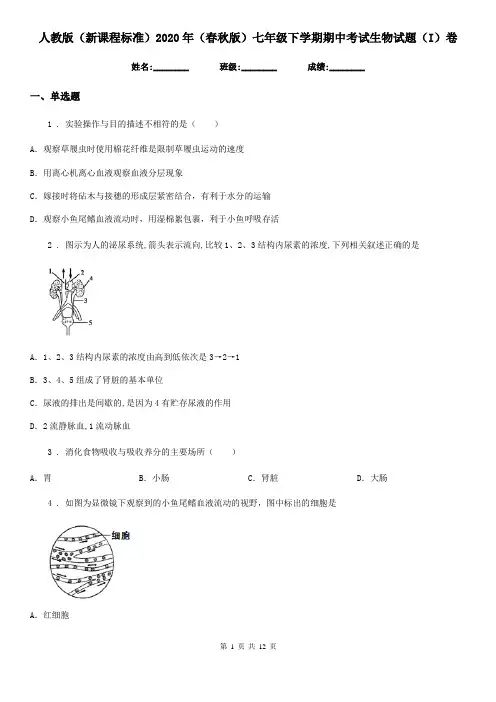 人教版(新课程标准)2020年(春秋版)七年级下学期期中考试生物试题(I)卷