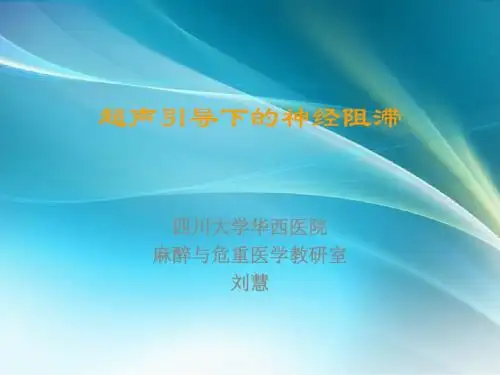 超声引导下的神经阻滞
