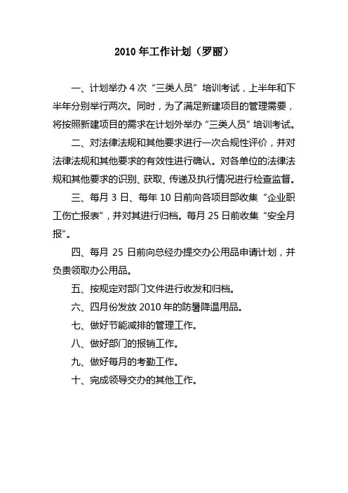 2010年工作计划(罗丽)