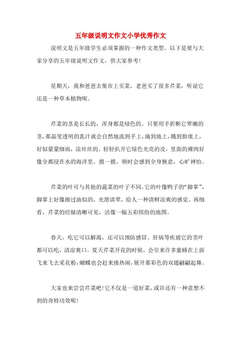 五年级说明文作文小学优秀作文