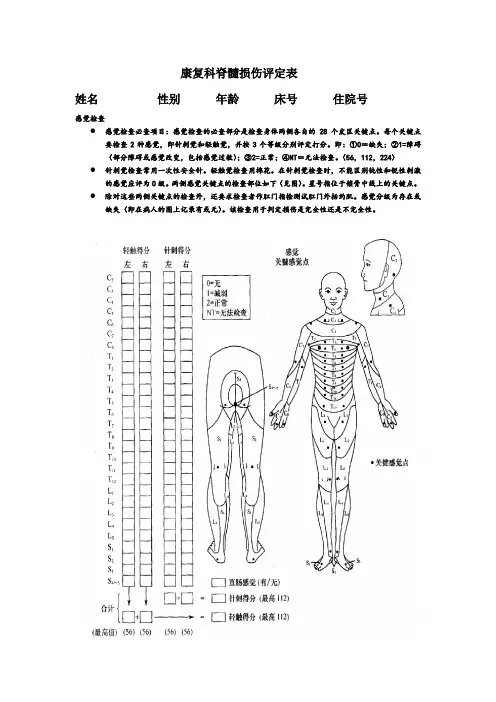 康复科脊髓损伤评定表