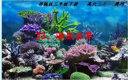 部编版三年级下册《海底世界》PPT课件完美2