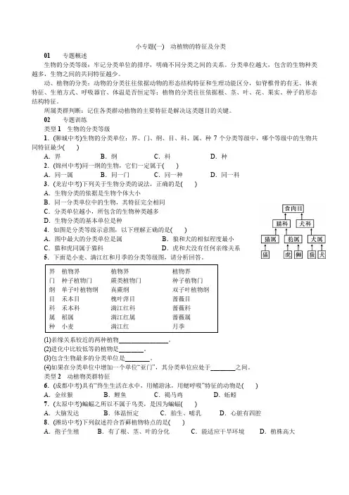 小专题(一) 动植物的特征及分类含解析