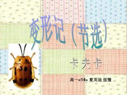 变形记1