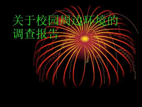 环境调查报告