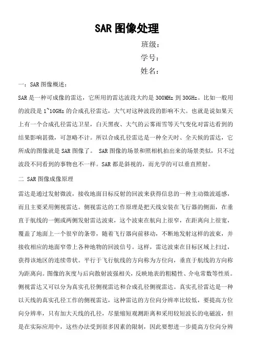 SAR图像处理