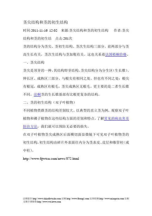 茎尖结构和茎的初生结构