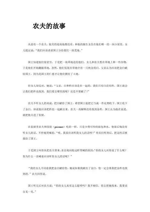 农夫的故事