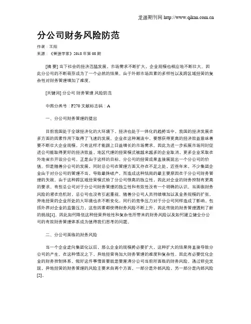分公司财务风险防范