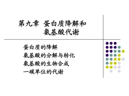第九章 蛋白质的降解和氨基酸的代谢I