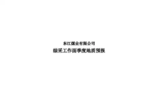 2013年综采(季度)地质水文预报