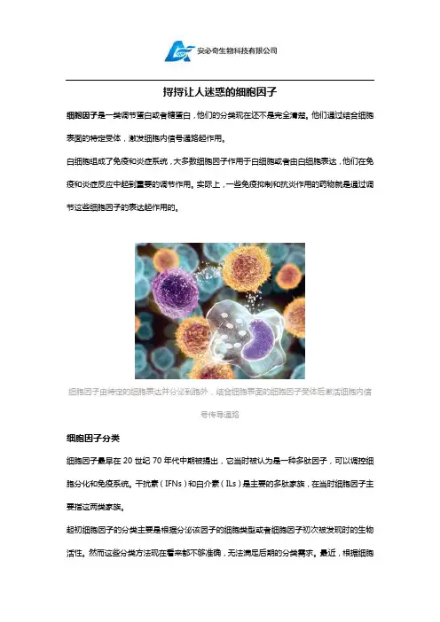 细胞因子详解
