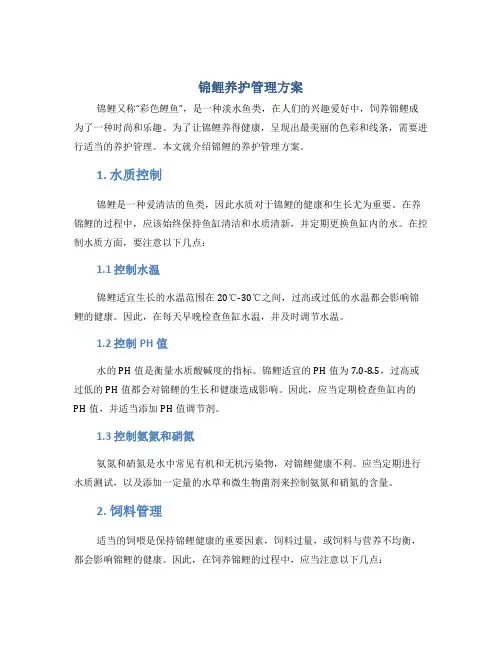 锦鲤养护管理方案