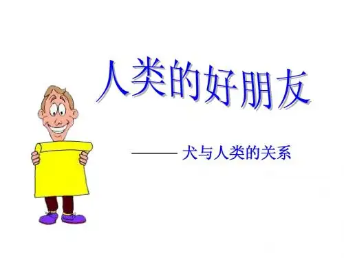 大班综合:动物是人类的好朋友