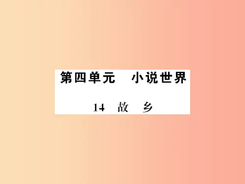襄阳专用201X年九年级语文上册第四单元14故乡习题课件新人教版