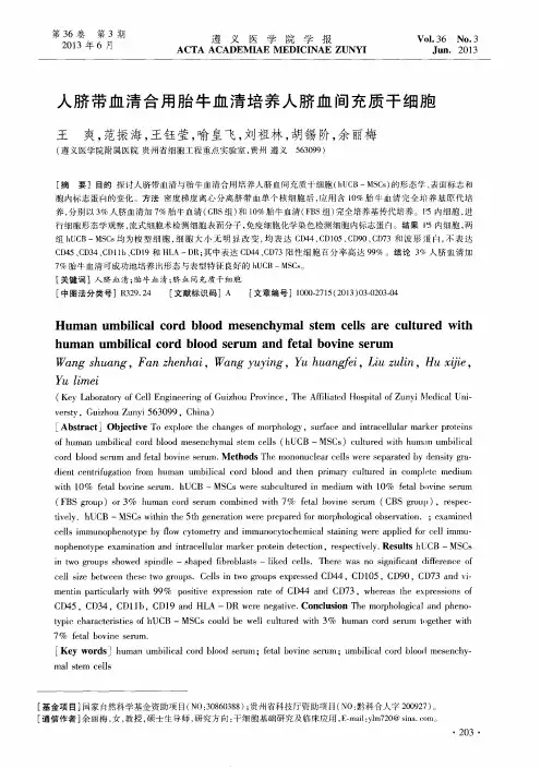 人脐带血清合用胎牛血清培养人脐血间充质干细胞
