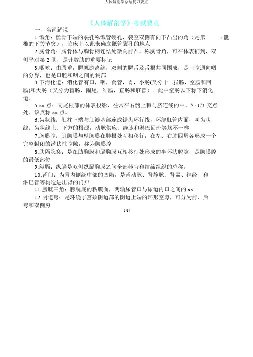 人体解剖学总结复习重点