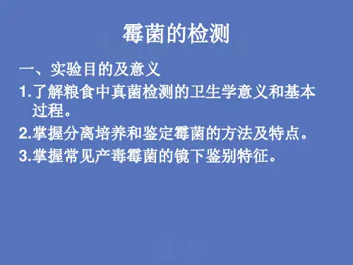 霉菌的检测